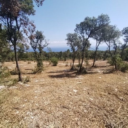 Kavran, vikend parcele 300-400 m2, na osami, prekrasan pogled!
