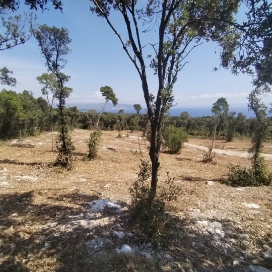 Kavran, vikend parcele 300-400 m2, na osami, prekrasan pogled!