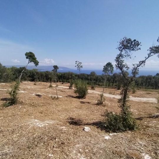Kavran, vikend parcele 300-400 m2, na osami, prekrasan pogled!