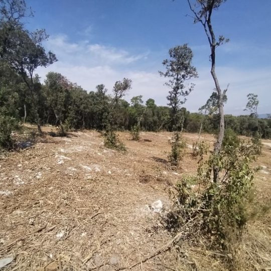 Kavran, vikend parcele 300-400 m2, na osami, prekrasan pogled!