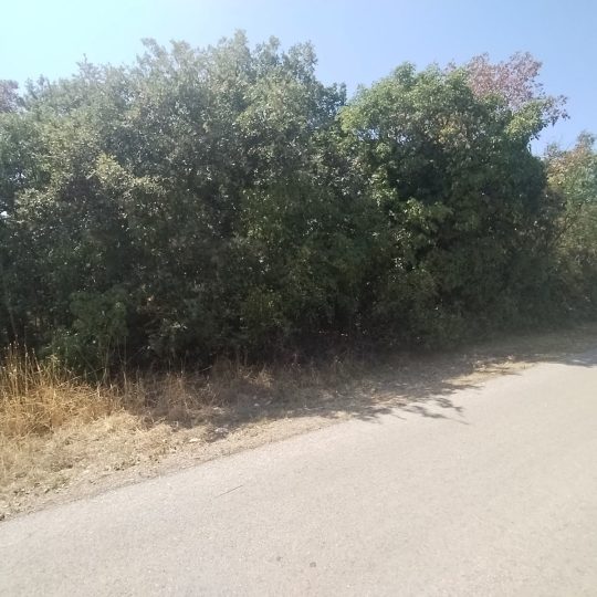 Krnica: Građevinska parcela 2100 m2, okružena zelenilom, privatnost