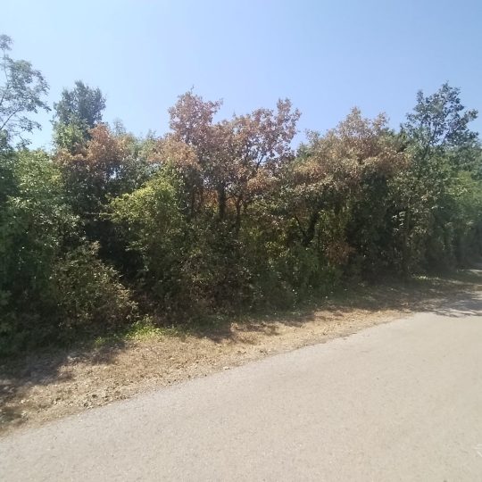 Krnica: Građevinska parcela 2100 m2, okružena zelenilom, privatnost