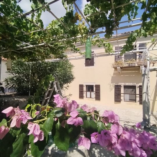 Marčana: Marčana – Kavran, prekrasna uređena starina + noviji dio kuće!
