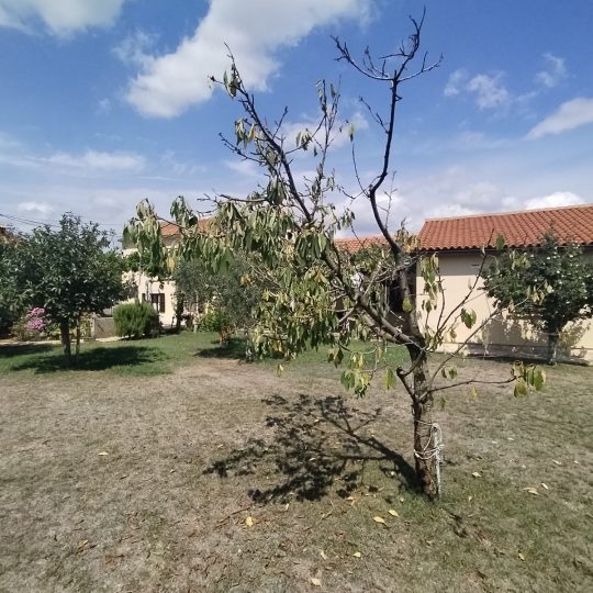 Marčana: Marčana – Kavran, prekrasna uređena starina + noviji dio kuće!