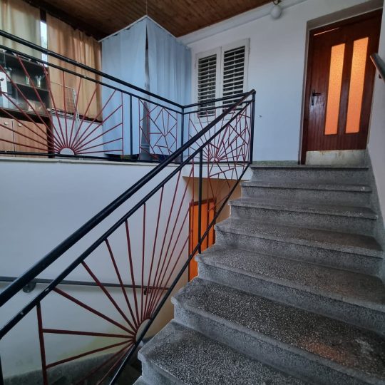 Simpatična kuća sa vrtom u blizini Arene!