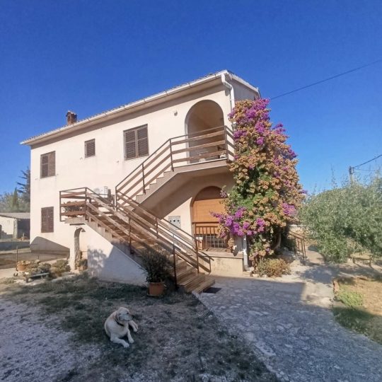 Ližnjan: Kuća okružena prostranom okućnicom 730 m2