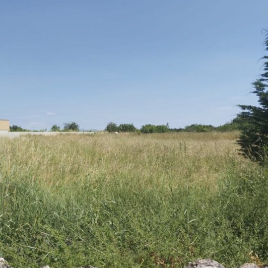Žminj: Prodaju se građevinske parcele na odličnoj lokaciji!
