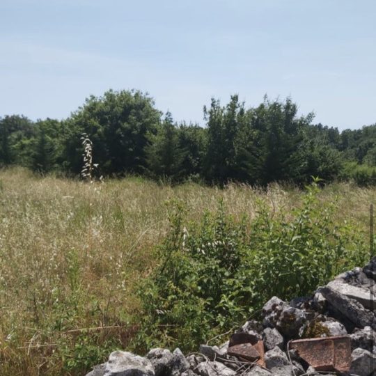 Žminj: Prodaju se građevinske parcele na odličnoj lokaciji!