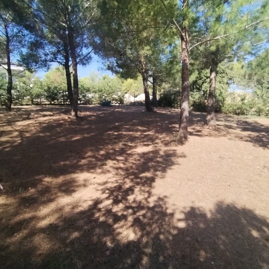 Ližnjan, 480 m2, za duplex kuću, pred dozvolom!