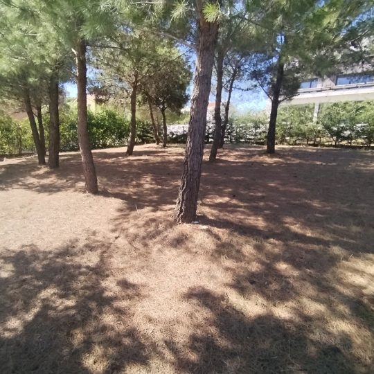 Ližnjan, 480 m2, za duplex kuću, pred dozvolom!