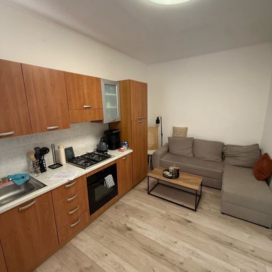 TOP PRILIKA! Funkcionalan stan u prizemlju za samo 138.000 €