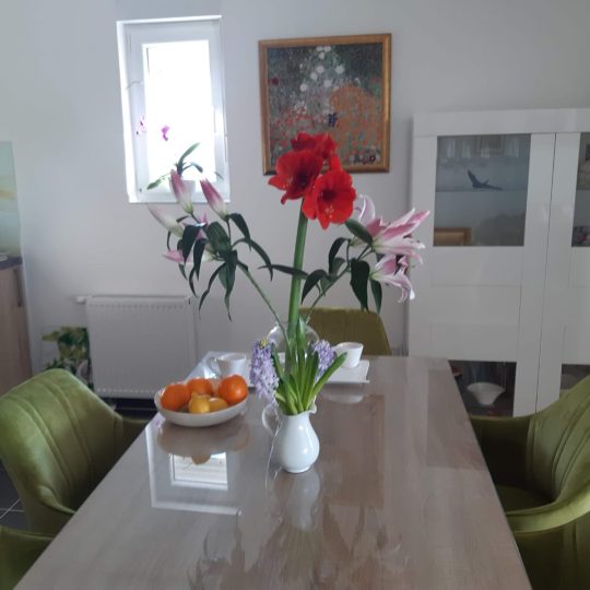 Prilika tjedna, stan s 3 spavaće sobe i dnevnim boravkom!